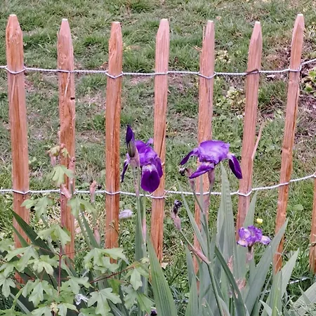 לינה וארוחת בוקר Les Herbes Folles