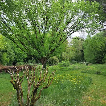 Les Herbes Folles 3*